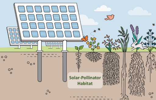 AgriSolar Clearing House